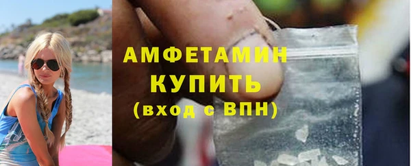 индика Сосновка