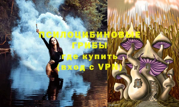 тгк Гусиноозёрск