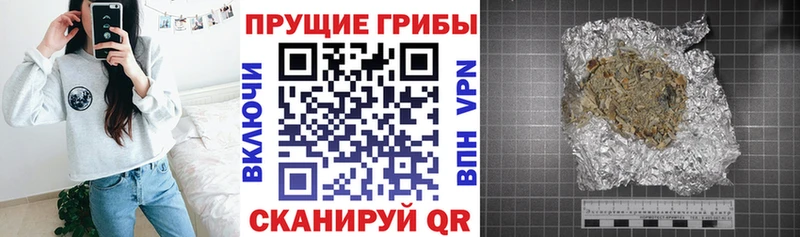 даркнет сайт  Новосиль  Псилоцибиновые грибы ЛСД 