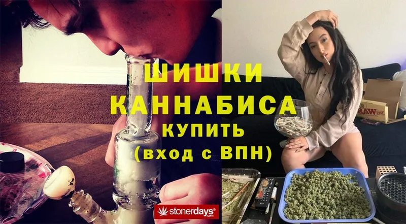 Марихуана White Widow  где купить   Новосиль 